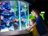 Some Creative Aquarium Lighting Ideas for Home 