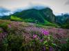 Valley of Flower- A Nature’s Trail