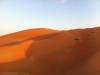 Why Should You Choose Morning Desert Safari In Dubai?