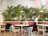 HOW TO ADD BIOPHILIC DESIGNS INTO YOUR RESTAURANTS