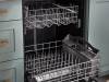Sleek Design and Advanced Features: Why Bosch Dishwashers are Trending