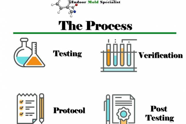 MOLD TESTER IN MARCO ISLAND 