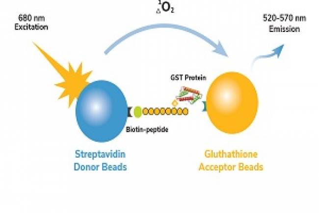 EpiCypher’s CUTANA CUT&RUN Offers Significant Benefits Over Alternative Chromatin Profiling Assays