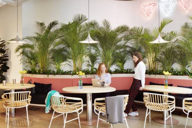 HOW TO ADD BIOPHILIC DESIGNS INTO YOUR RESTAURANTS