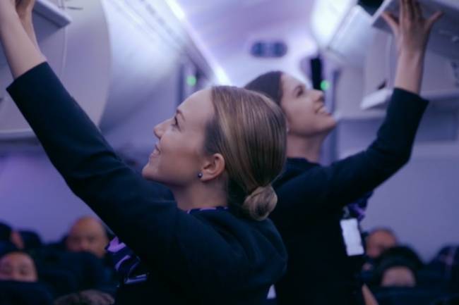 How To Become A Flight Attendant In New Zealand