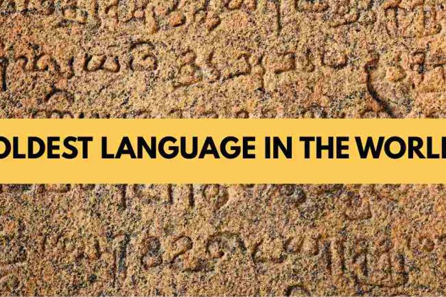 What Can Projects in Linguistics and Culture Learn from the World's Oldest Languages?