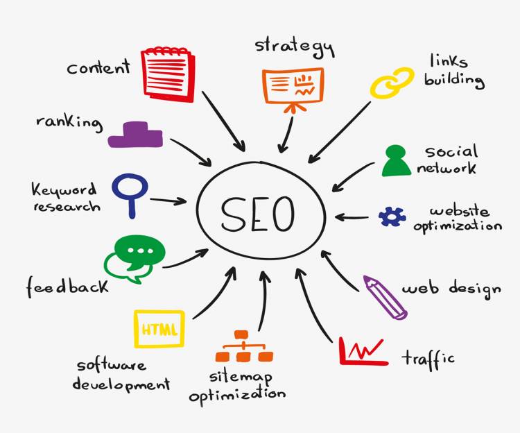 Best Local SEO Expert & Consultant Company in India