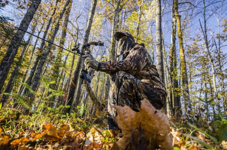 Perfect Bow Hunting Tips For Beginner | Proven Process
