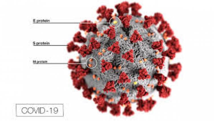 Coronavirus Covid-19