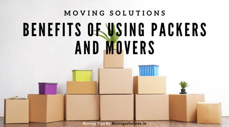 Benefits of Using Packers and Movers Service from Delhi to Jaipur