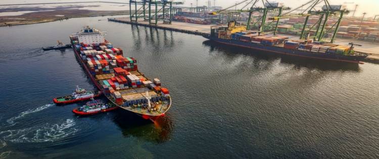 Sea Freight Forwarding Services In Dubai
