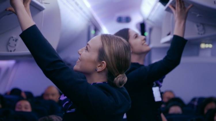 How To Become A Flight Attendant In New Zealand