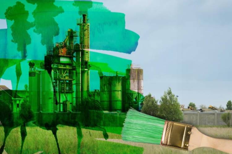 Sustainable Investing: How to Spot a Greenwashed Company