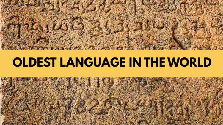 What Can Projects in Linguistics and Culture Learn from the World's Oldest Languages?
